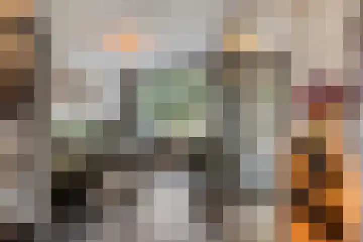 Jan van Vlissingenhof 22 Helmond thumbnail 7
