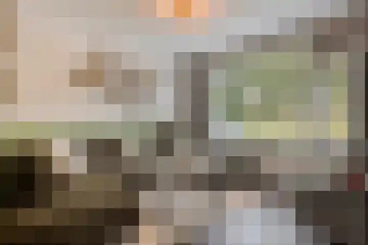Jan van Vlissingenhof 22 Helmond thumbnail 8