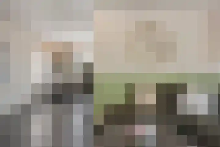 Jan van Vlissingenhof 22 Helmond thumbnail 9