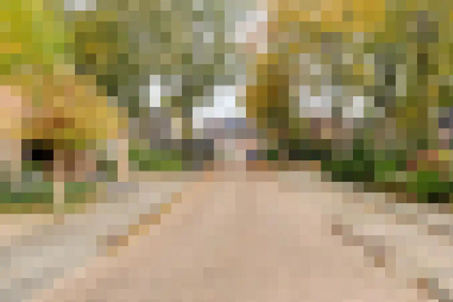 Jan van Vlissingenhof 26 Helmond thumbnail 5