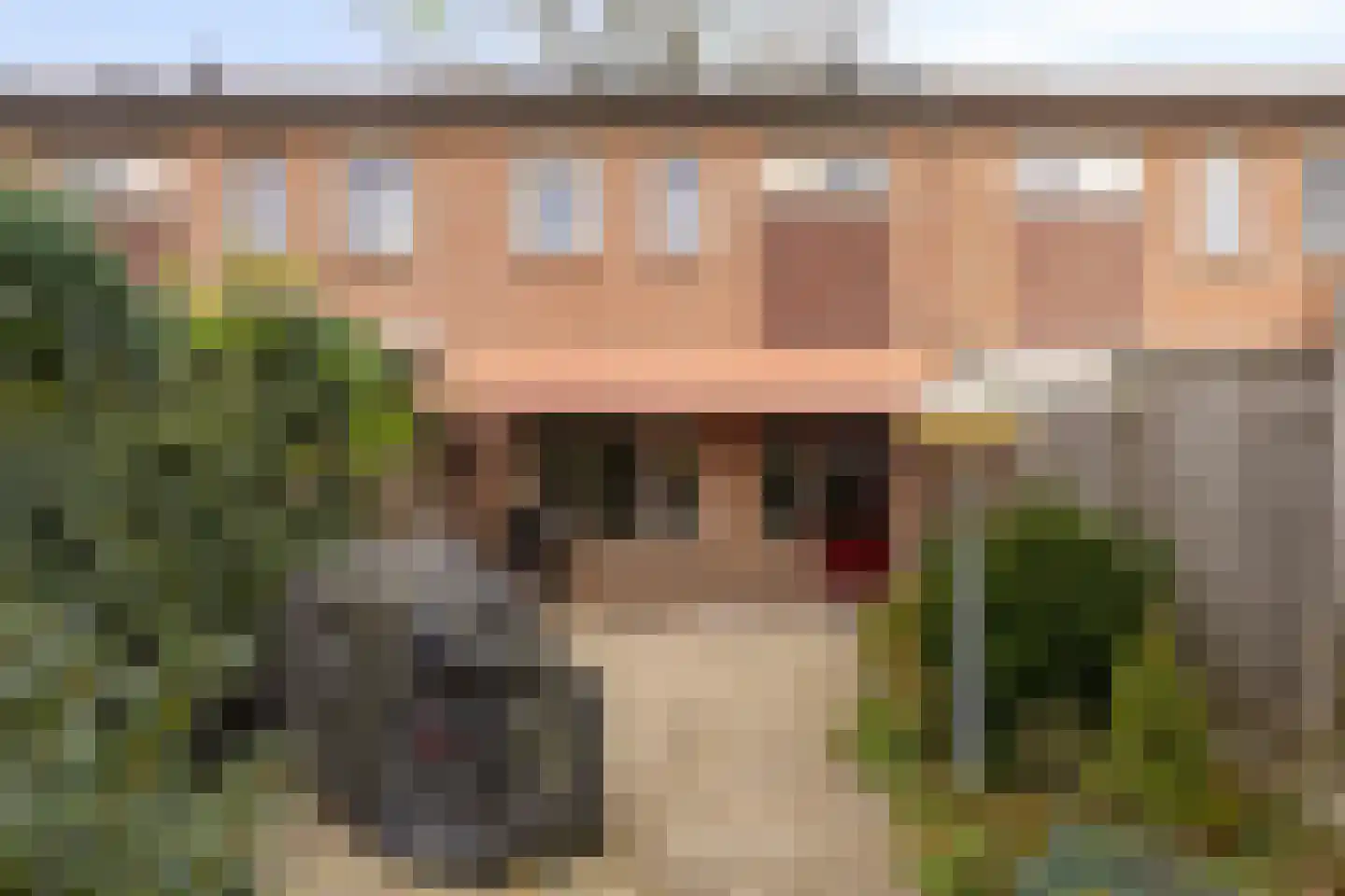 Jan van Vlissingenhof 41 Helmond thumbnail 27