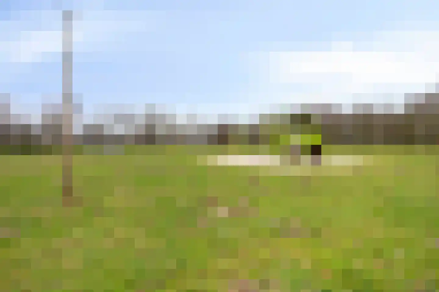 Jan van Vlissingenhof 41 Helmond thumbnail 30