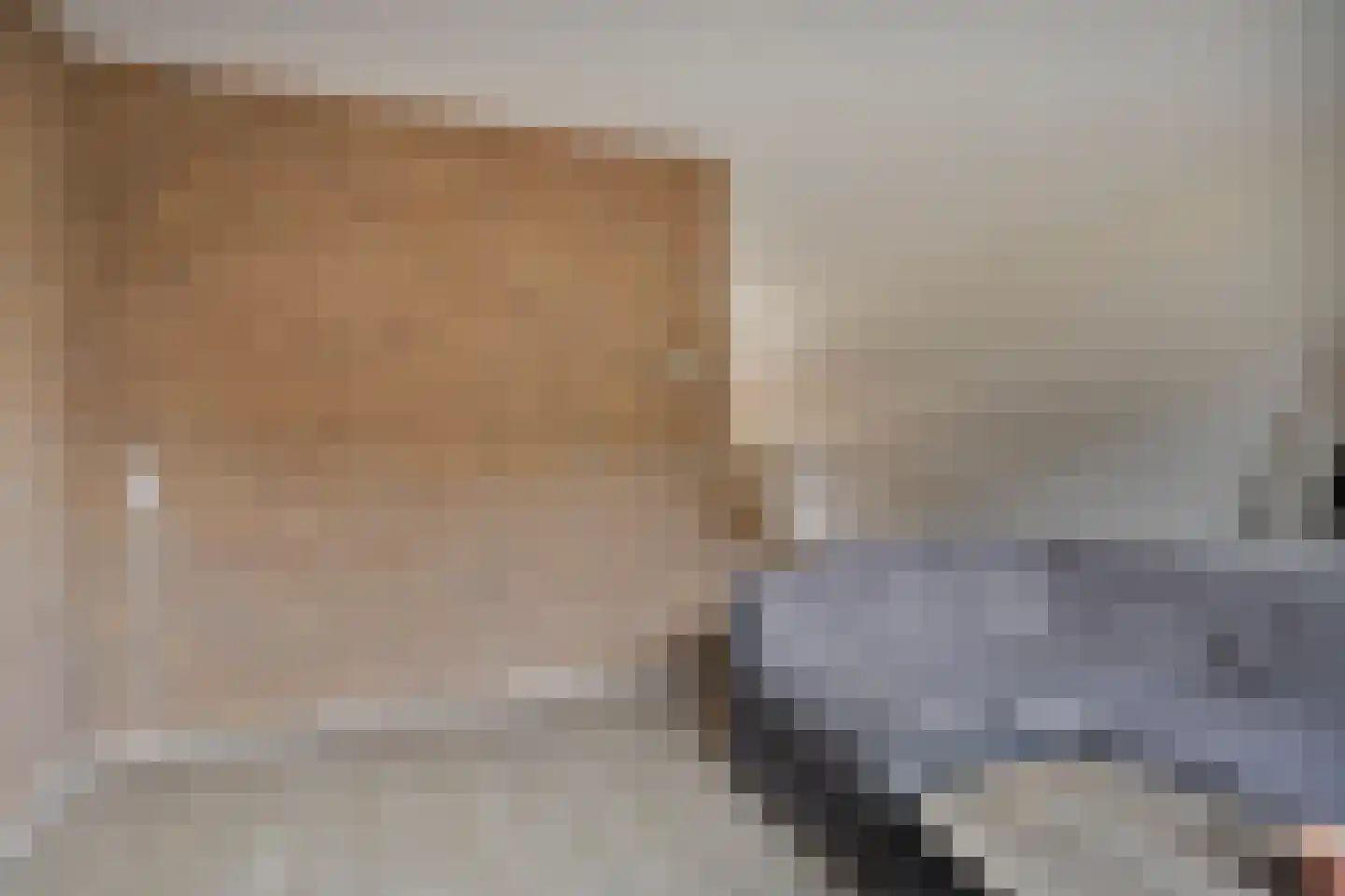 Jan van Vlissingenhof 41 Helmond thumbnail 8