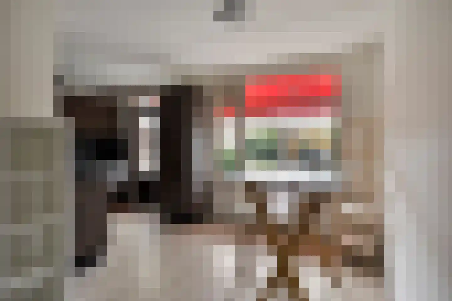 Jan van Vlissingenhof 41 Helmond thumbnail 9