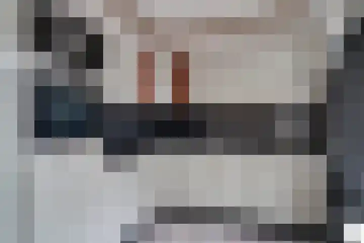 Jan van Vlissingenhof 8 Helmond thumbnail 10