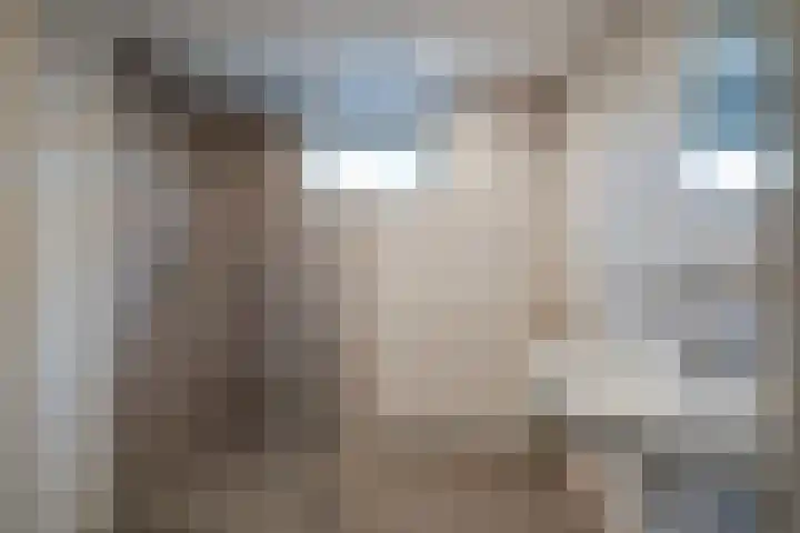 Jan van Vlissingenhof 8 Helmond thumbnail 19