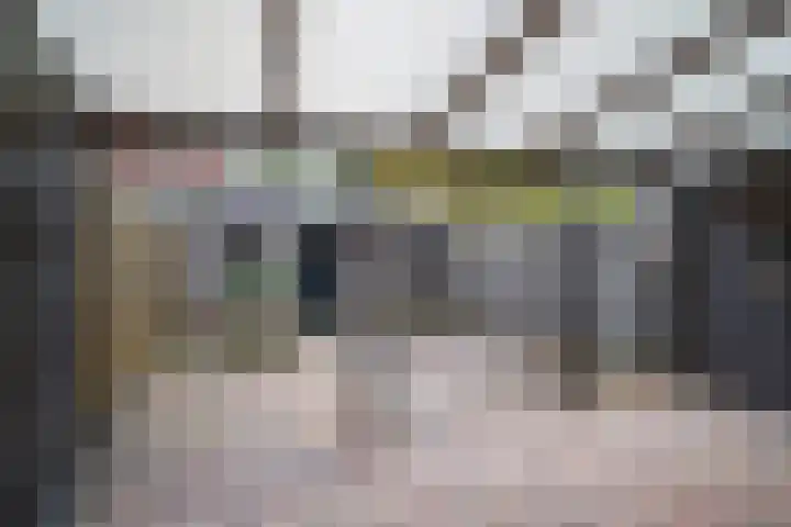 Jan van Vlissingenhof 8 Helmond thumbnail 26