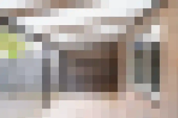 Jan van Vlissingenhof 8 Helmond thumbnail 27