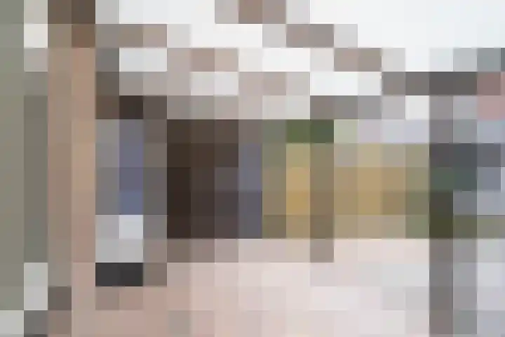 Jan van Vlissingenhof 8 Helmond thumbnail 29