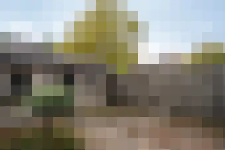 Jan van Vlissingenhof 8 Helmond thumbnail 32