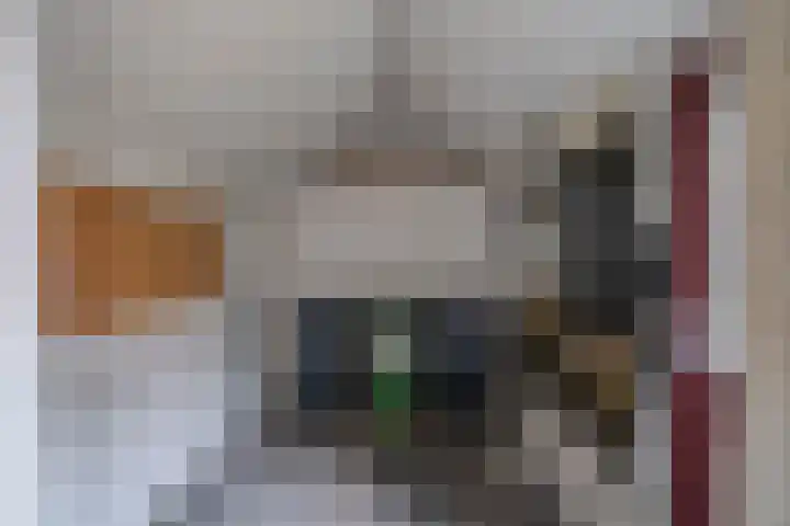 Jan van Vlissingenhof 8 Helmond thumbnail 33