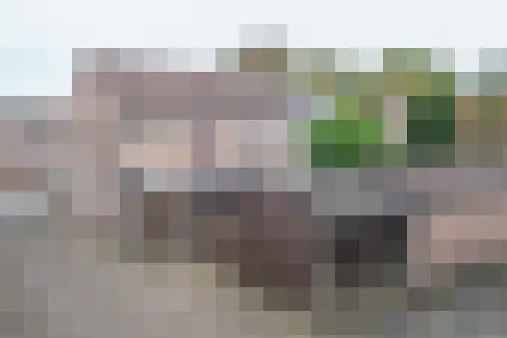 Jan van Vlissingenhof 8 Helmond thumbnail 34