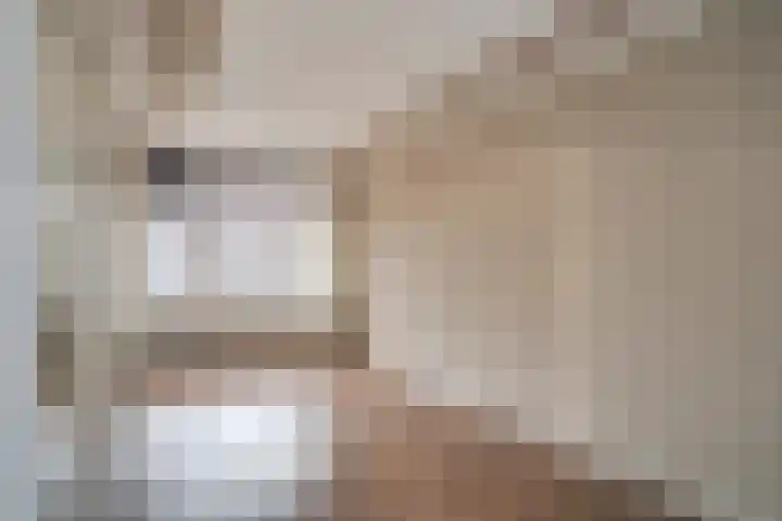 Jan van Vlissingenhof 8 Helmond thumbnail 5