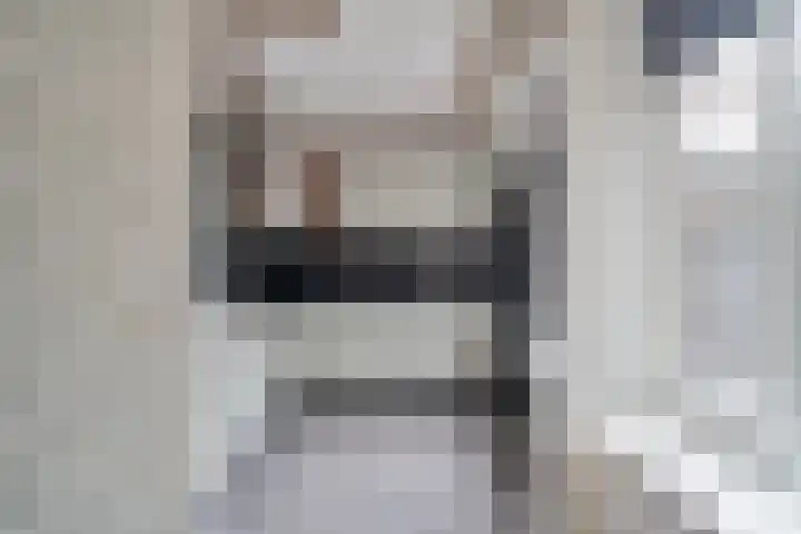 Jan van Vlissingenhof 8 Helmond thumbnail 9