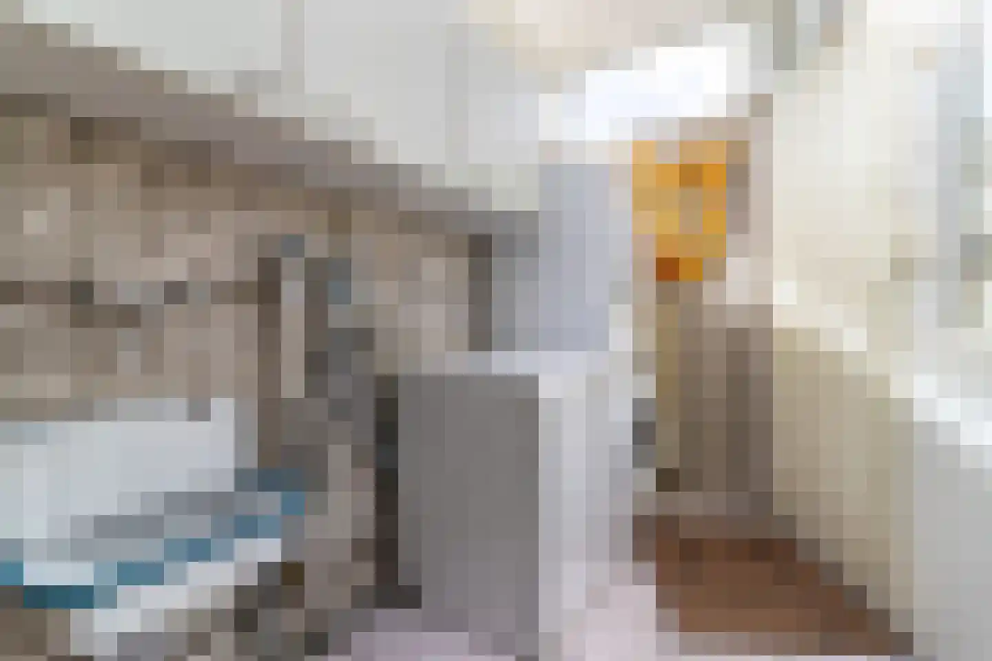 Jan van Vuurenstraat 1 Nunspeet thumbnail 16
