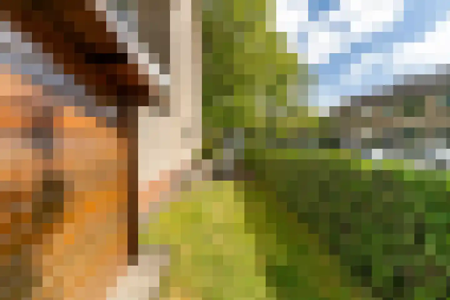 Jan van Vuurenstraat 1 Nunspeet thumbnail 34