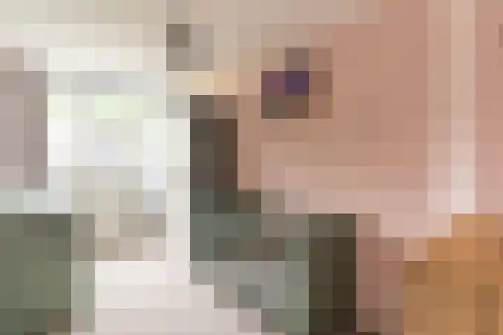 Jan van Vuurenstraat 25 Nunspeet thumbnail 23