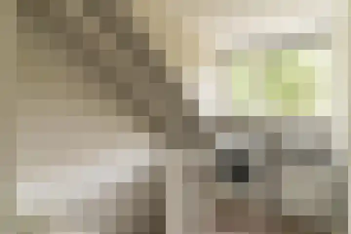Jan van Vuurenstraat 25 Nunspeet thumbnail 29