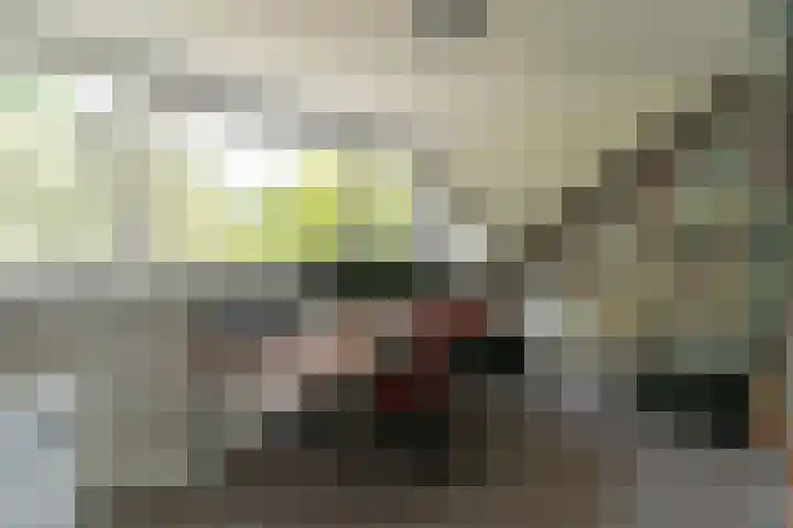 Jan van Vuurenstraat 25 Nunspeet thumbnail 30