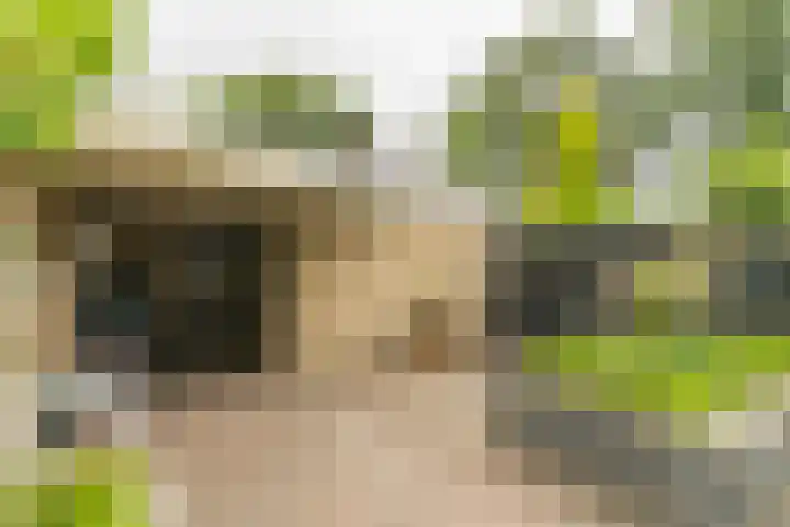Jan van Vuurenstraat 25 Nunspeet thumbnail 36