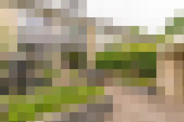 Jan van Vuurenstraat 25 Nunspeet thumbnail 38