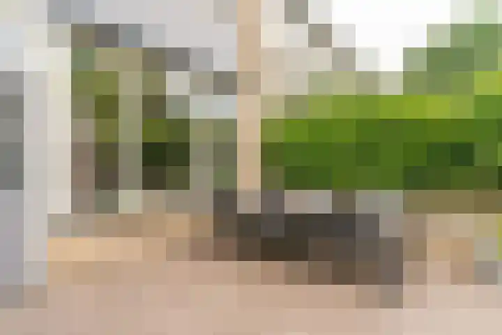 Jan van Vuurenstraat 25 Nunspeet thumbnail 39