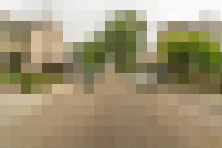 Jan van Vuurenstraat 25 Nunspeet thumbnail 41