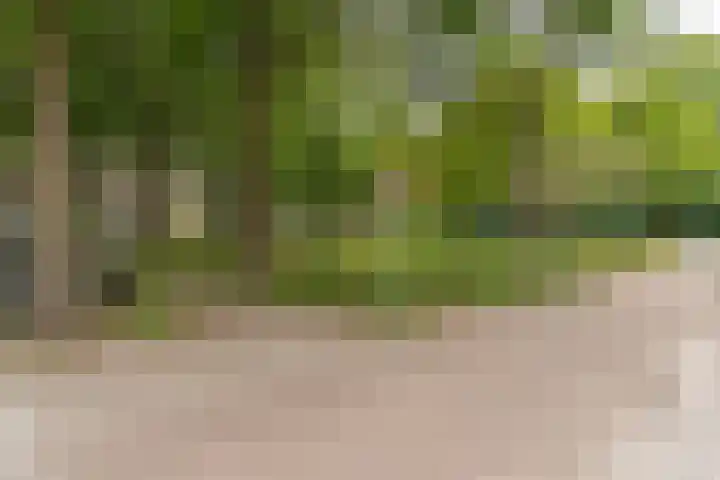 Jan van Vuurenstraat 25 Nunspeet thumbnail 42