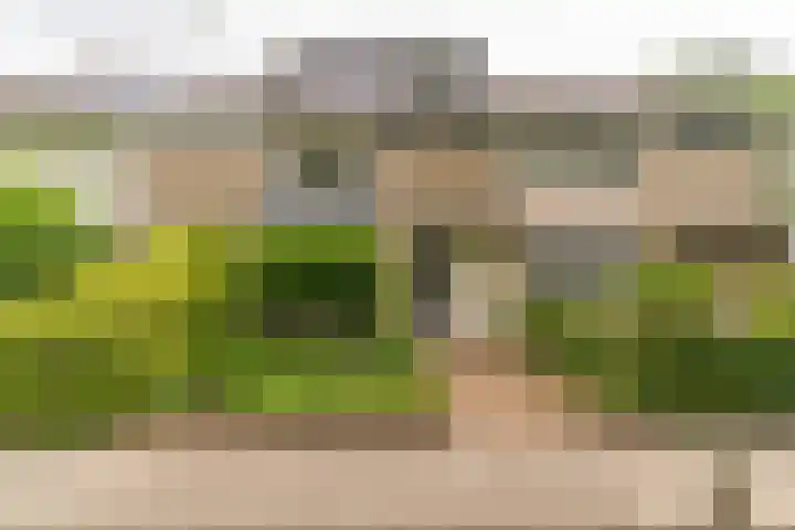 Jan van Vuurenstraat 25 Nunspeet thumbnail 43