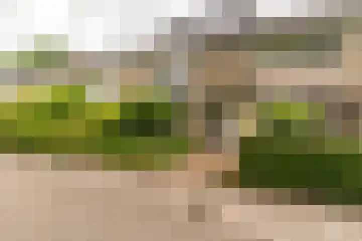 Jan van Vuurenstraat 25 Nunspeet thumbnail 5