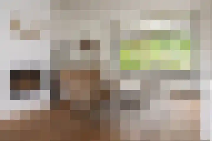 Jan van Vuurenstraat 5 Nunspeet thumbnail 13