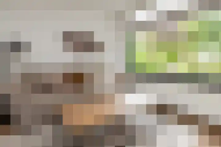 Jan van Vuurenstraat 5 Nunspeet thumbnail 14