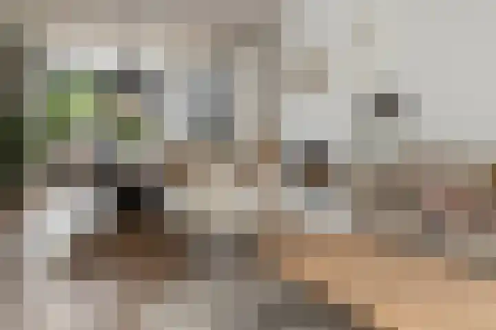 Jan van Vuurenstraat 5 Nunspeet thumbnail 15