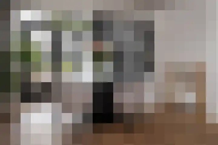 Jan van Vuurenstraat 5 Nunspeet thumbnail 16
