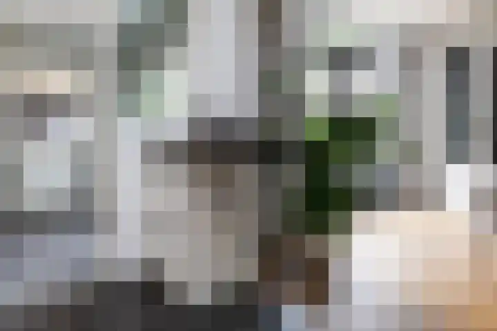 Jan van Vuurenstraat 5 Nunspeet thumbnail 22