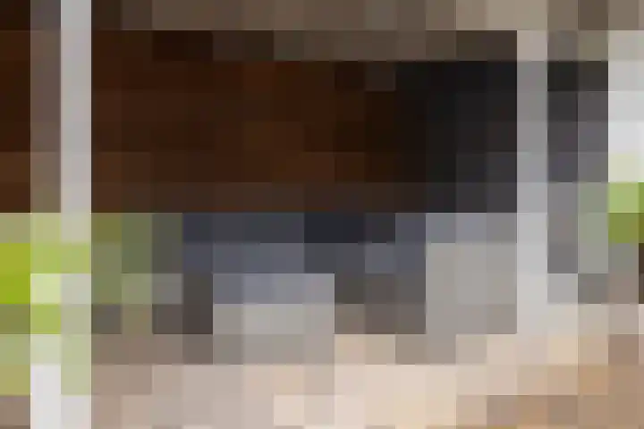 Jan van Vuurenstraat 5 Nunspeet thumbnail 38