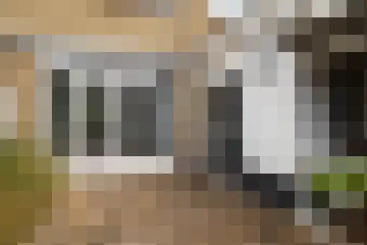 Jan van Vuurenstraat 5 Nunspeet thumbnail 5