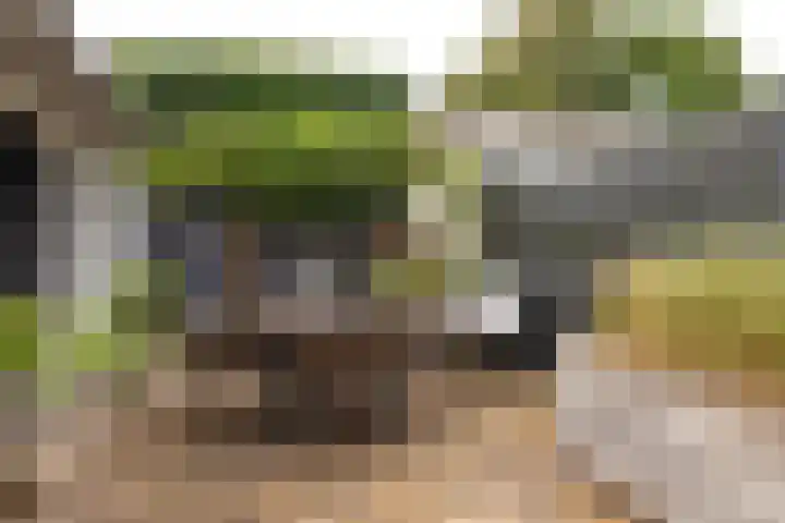 Jan van Vuurenstraat 5 Nunspeet thumbnail 6