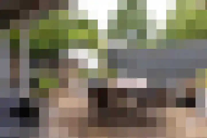 Jan van Vuurenstraat 5 Nunspeet thumbnail 7