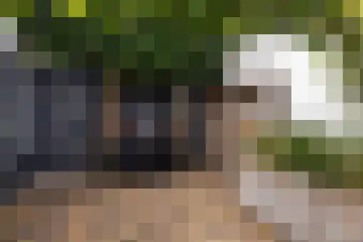 Jan van Vuurenstraat 5 Nunspeet thumbnail 8