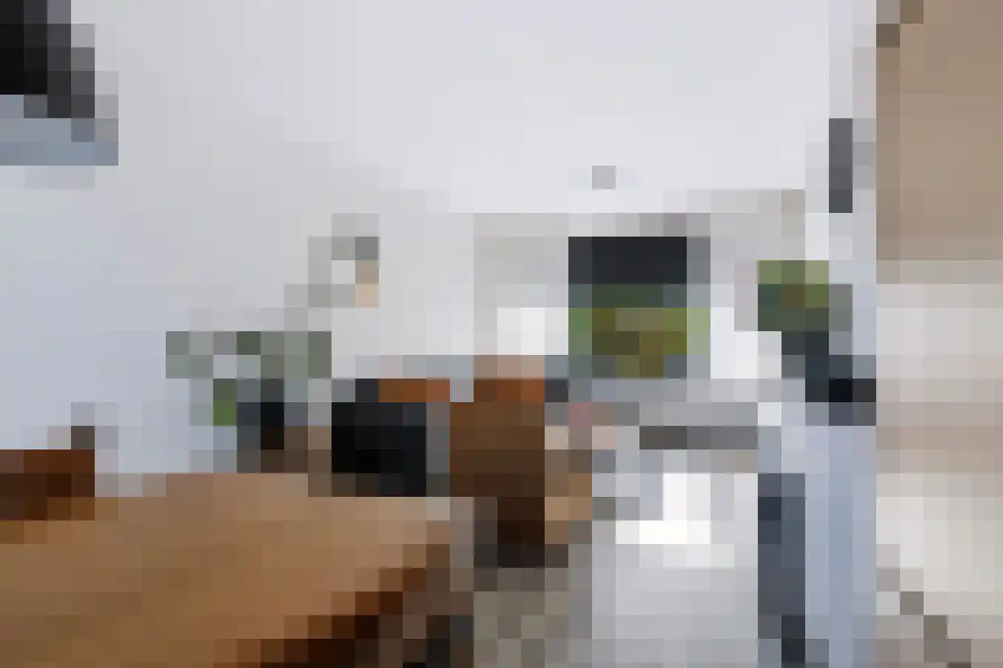 Jan van Weliestraat 30 Deest thumbnail 10