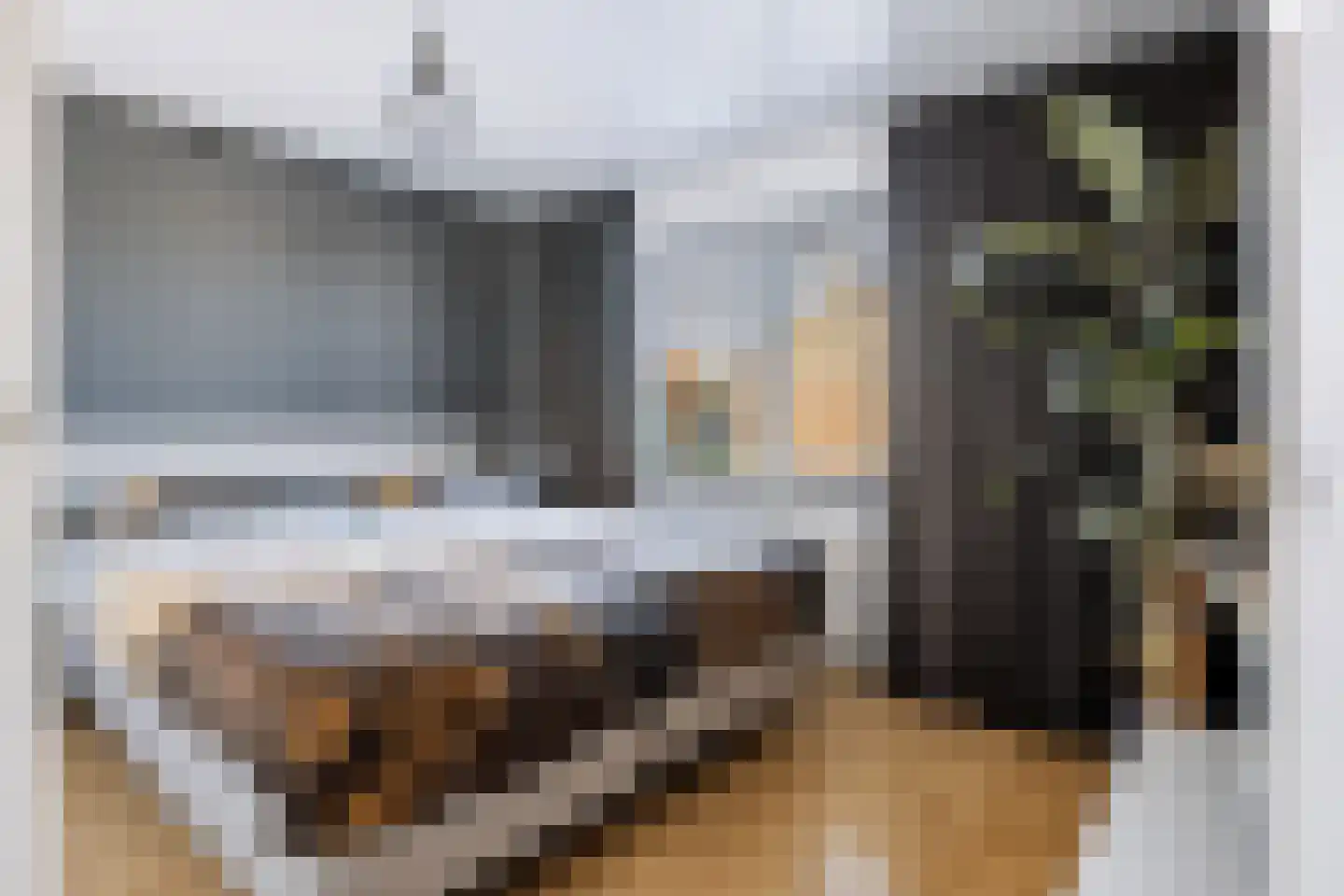 Jan van Weliestraat 30 Deest thumbnail 19
