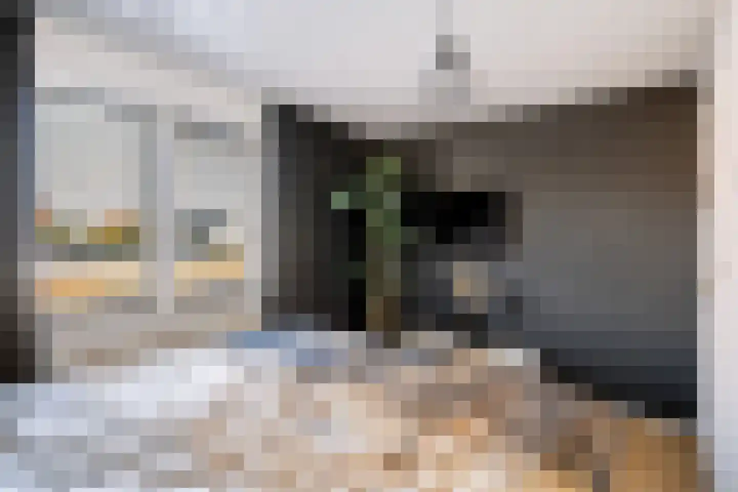 Jan van Weliestraat 30 Deest thumbnail 20