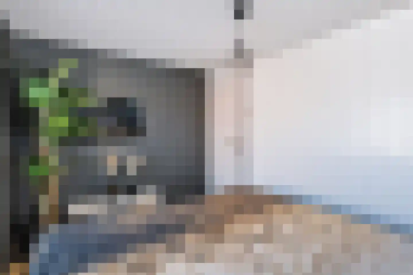 Jan van Weliestraat 30 Deest thumbnail 21