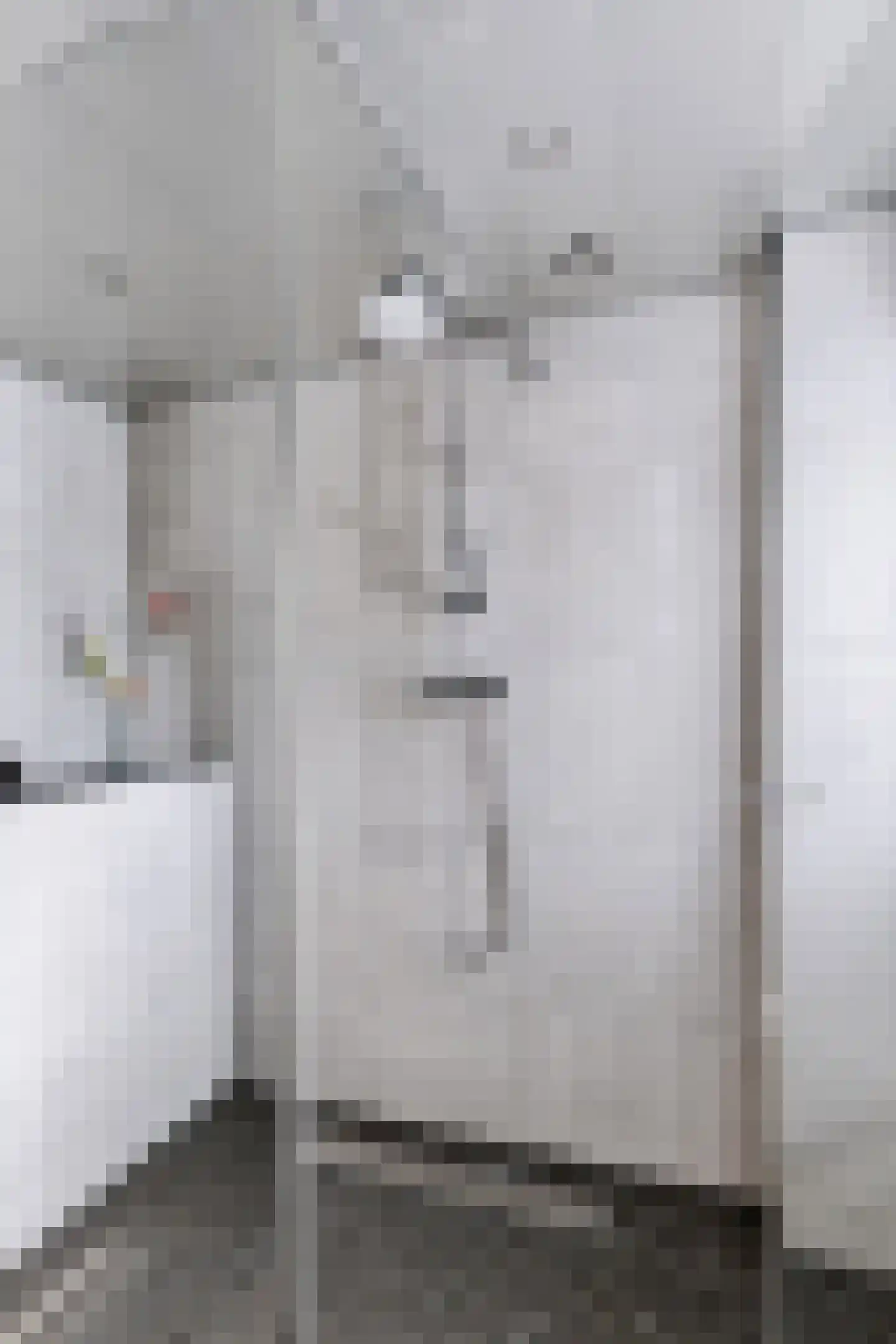 Jan van Weliestraat 30 Deest thumbnail 24