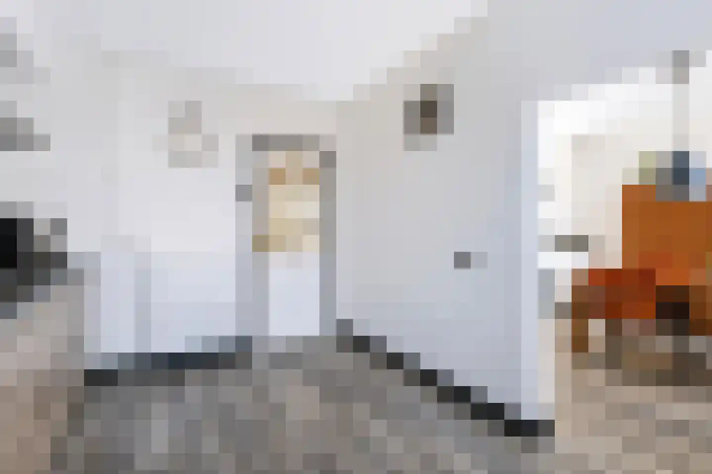 Jan van Weliestraat 30 Deest thumbnail 7