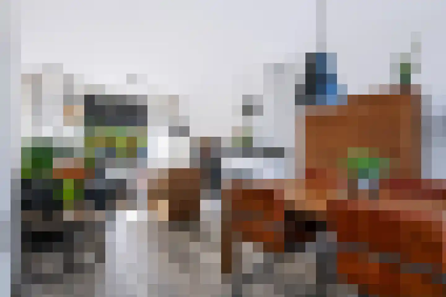Jan van Weliestraat 30 Deest thumbnail 9