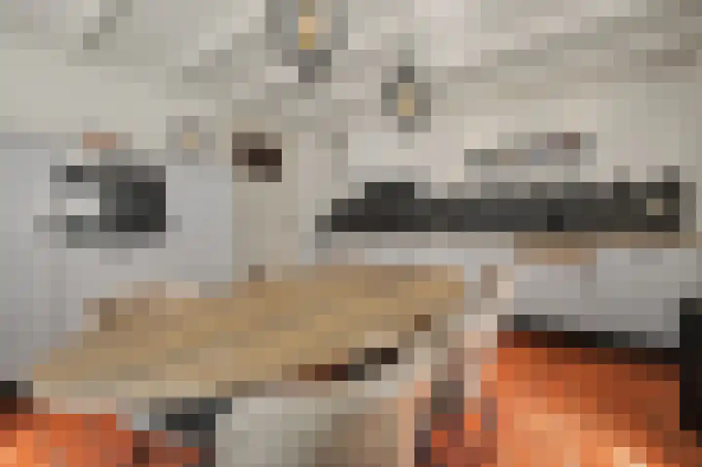 Jan van Wijckstraat 1 Elshout thumbnail 13
