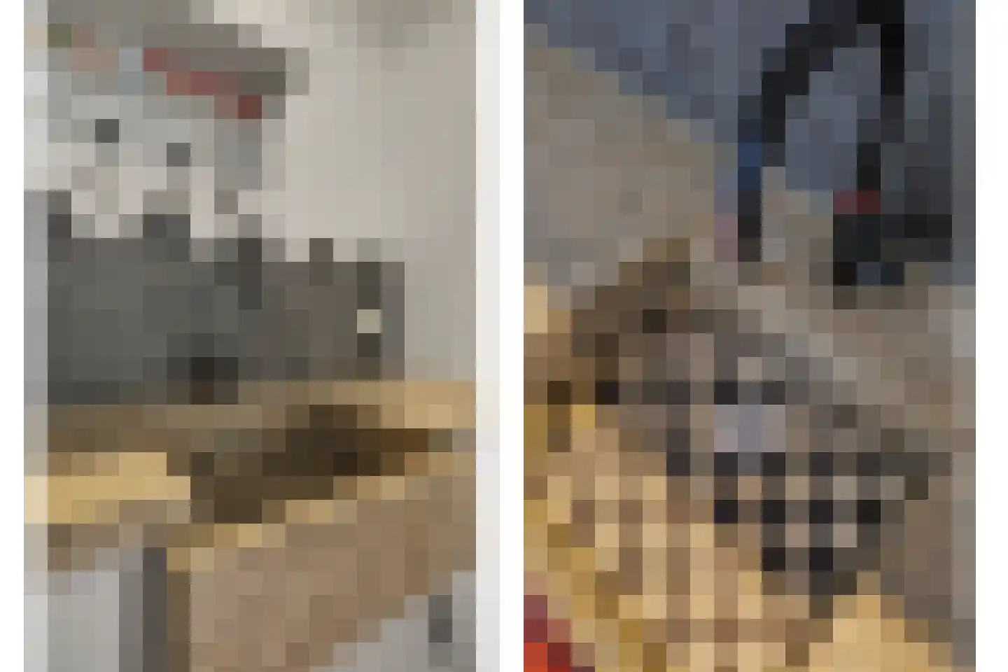 Jan van Wijckstraat 1 Elshout thumbnail 15