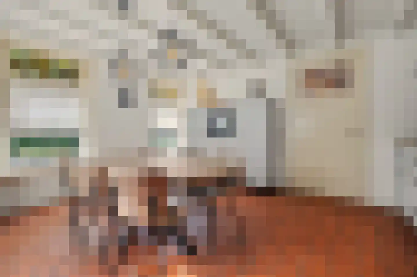 Jan van Wijckstraat 1 Elshout thumbnail 16